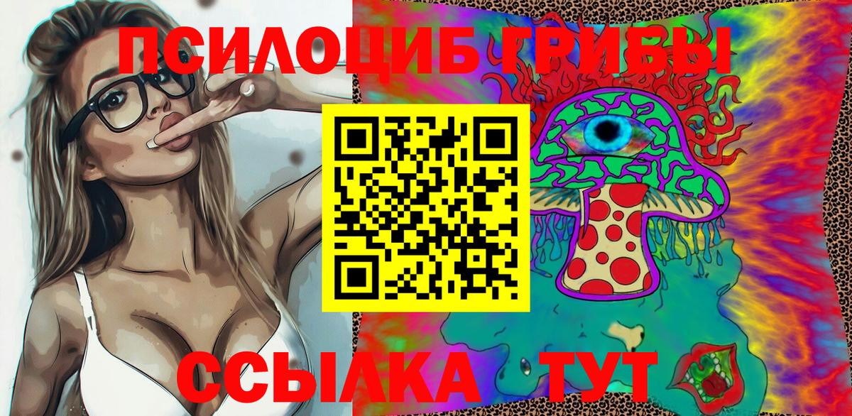 Ачхой-Мартан  Галлюциногенные грибы прущие грибы  цена   Вход с VPN 